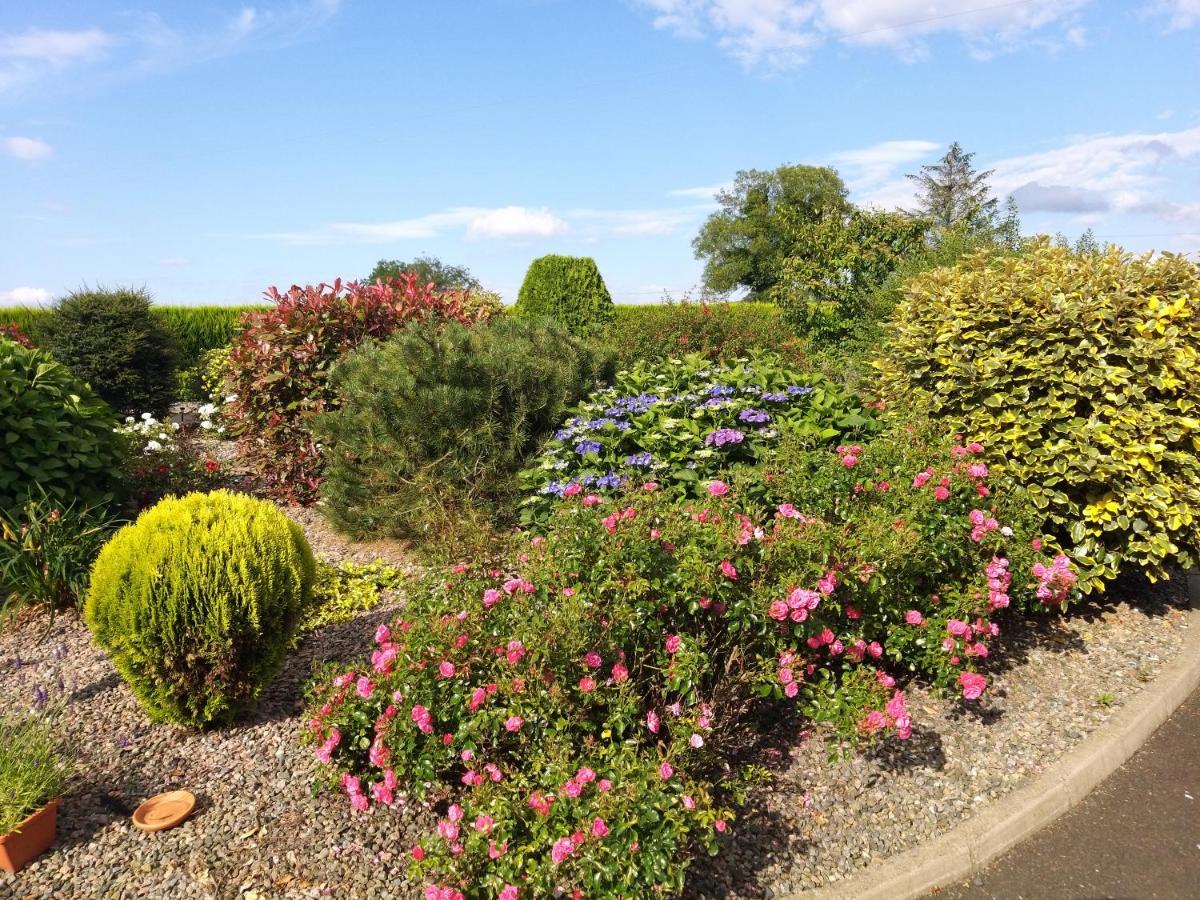 40 Antrimheightsbnb Mobile Self Catering Sleep 7 Apartment